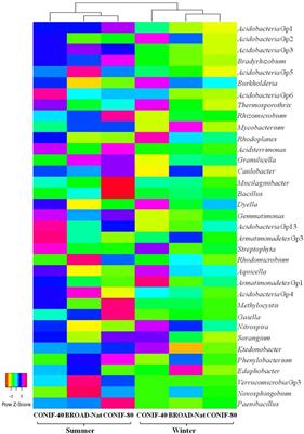 Effects of Reforestation on the Structure and Diversity of Bacterial Communities in Subtropical Low Mountain Forest Soils